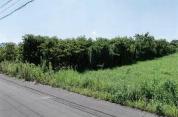 土地 愛知県