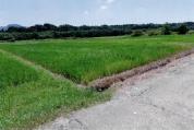 土地 愛知県豊橋市石巻本町字池田５番