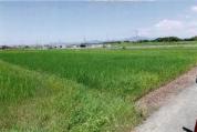 土地 愛知県豊橋市石巻本町字大道５８番