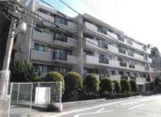 マンション 神奈川県