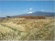土地 静岡県