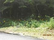 土地建物 埼玉県