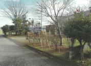 土地建物 徳島県