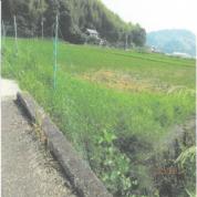 土地 徳島県