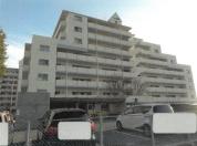 マンション 徳島県