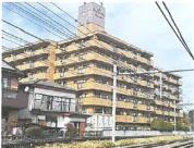 マンション 埼玉県