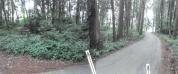 土地 栃木県