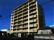 マンション 埼玉県