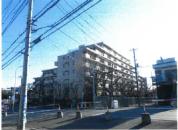 マンション 埼玉県
