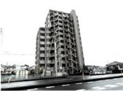 マンション 埼玉県