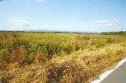 土地 青森県上北郡七戸町字舟場向川久保７８３番