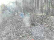 土地 茨城県