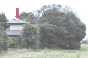 土地建物 茨城県鹿嶋市大字宮中字荒原１３７番地９