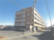 マンション 茨城県水戸市堀町字新田１０１８番地１
