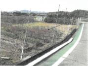 土地 大阪府