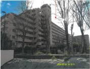 マンション 大阪府東大阪市布市町四丁目３２２番地