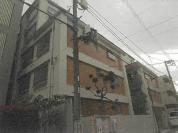 マンション 東京都新宿区河田町１７番地１１